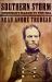 Southern Storm : Sherman's March to the Sea