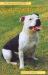 The Staffordshire Bull Terrier