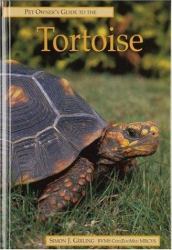Pet Owner's Guide to the Tortoise