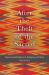 After the Theft of the Sacred : Experiential Religion in Indigenous Writing