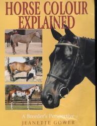 Horse Colour Explained : A Breeder's Perspective