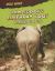 Who Scoops Elephant Poo? : Working at a Zoo