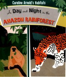 A Day and Night in the Amazon Rainforest