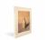 Joel Meyerowitz: Morandi's Objects