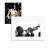 Arthur Elgort: Jazz (Limited Edition)