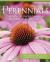 Perennials : Thriving Flower Gardens in Every Type of Light