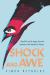 Shock and Awe : Glam Rock and Its Legacy, from the Seventies to the Twenty-First Century