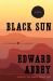 Black Sun Black Sun