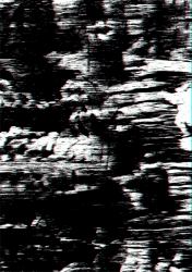 Perspecta 46 : Error