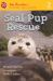 Seal Pup Rescue