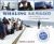 Whaling Season : A Year in the Life of an Arctic Whale Scientist