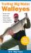 Trolling Big-Water Walleyes : Secrets of the Great Lakes Fishing Guides, Charter Captains, and Walleye Pros