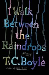 I Walk Between the Raindrops : Stories