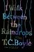I Walk Between the Raindrops : Stories