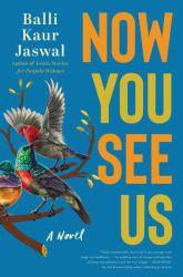 Now You See Us : A Novel