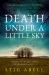 Death under a Little Sky : A Novel