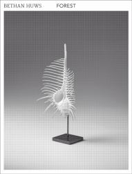 Bethan Huws : Forest