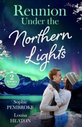 Reunion under the Northern Lights : Their Icelandic Marriage Reunion (Dream Destinations) / the Icelandic Doc's Baby Surprise