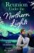 Reunion under the Northern Lights : Their Icelandic Marriage Reunion (Dream Destinations) / the Icelandic Doc's Baby Surprise
