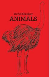 David Shrigley : Animals
