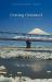 Getting Oriented : A Novel about Japan