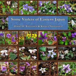 Some Violets of Eastern Japan