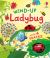 Wind-Up Ladybug Wind-Up Ladybug