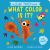 A Leaf Thief Book: What Color Is It?