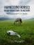 Harnessing Horses from Prehistory to History : Approaches and Case Studies