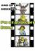 Shrek Bible Notebook