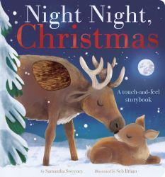 Night Night, Christmas : A Touch-And-feel Storybook