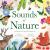 Sounds of Nature : A Guide to North American Bird and Animal Calls