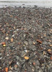 Jutten : Jutten