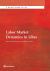 Labor Market Dynamics in Libya : Reintegration for Recovery