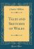 Tales and Sketches of Wales (Classic Reprint)