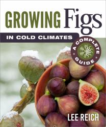 Growing Figs in Cold Climates : A Complete Guide
