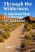 Through the Wilderness : A Spiritual Map for an Age of Upheaval