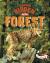 Animals Hidden in the Forest Animals Hidden in the Forest