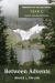 Between Advents : Sermons for the Lectionary, Year C, Advent Through Eastertide