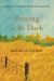 Praying in the Dark : Spirituality, Nonviolence, and the Emerging World