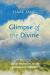 Glimpse of the Divine : Lyrical Meditations for the Contemporary Christian