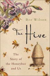 Hive