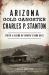 Arizona Gold Gangster Charles P. Stanton : Truth and Legend in Yavapai's Dark Days