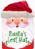 Santa's Lost Hat