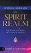 The Official Summary of the Spirit Realm : The Place We Work with God in Prayer