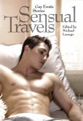 Sensual Travels : Gay Erotic Stories