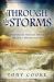 Through the Storm : Help from Heaven When All Hell Breaks Loose