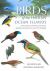 Birds of the Indian Ocean Islands : Madagascar, Mauritius, Seychelles, Reunion and the Comoros