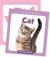 Learn about Animals (Set) Learn about Animals (Set)