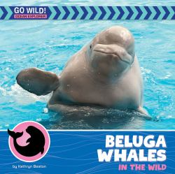 Beluga Whales in the Wild